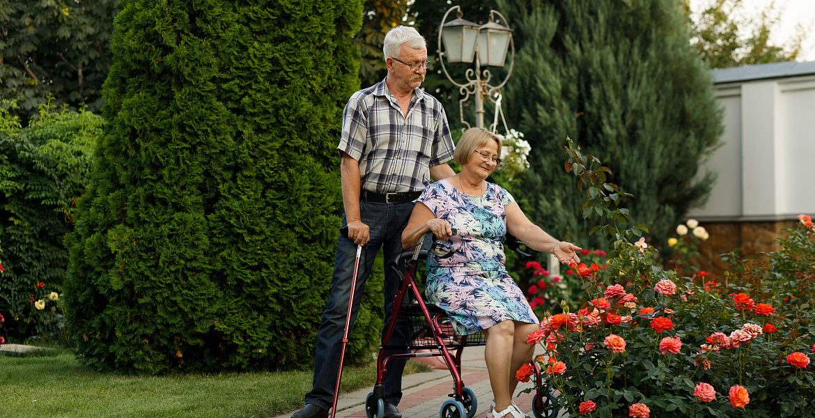 игры для пожилых